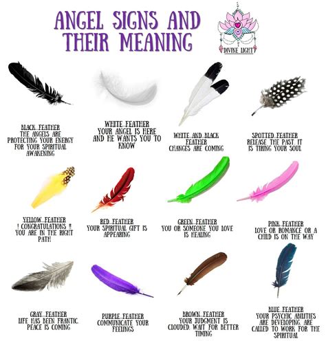 white feathers spiritual meaning